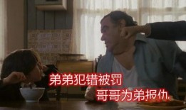 布鲁姆兄弟 在线观看,在线观影指南，揭秘兄弟情深与音乐传奇