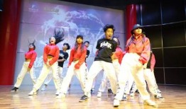 爆料雏形舞蹈视频大全集,雏形舞蹈视频大全集精彩回顾