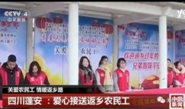 蓬安新闻爆料记者,记者深入调查，揭示事件背后真相