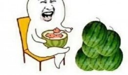 娱乐圈的吃瓜用语,揭秘明星们的“瓜田”秘闻