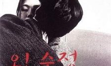 处女心经完整在线观看,穿越时空的纯真之旅