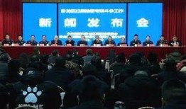 唐河近两天爆料新闻事件,神秘事件引发社会热议