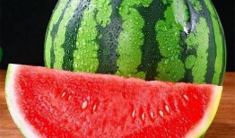 免费吃美都无籽麒麟瓜,尽享无籽麒麟瓜的美味之旅