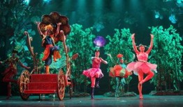 桃花公主爆料视频