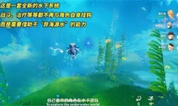 枫丹潜水爆料视频在线观看,探秘水下世界，揭秘神秘生物