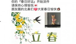 玲珑吃瓜日记免费观看全集,免费解锁全集，揭秘娱乐圈幕后风云