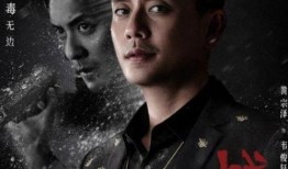 在线观看毒战电视剧,卧底风云，生死较量