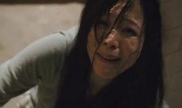 门徒在线观看高清,揭秘毒品背后的黑暗世界