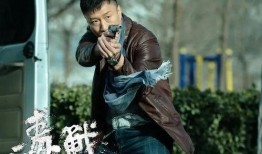 在线观看毒战电视剧,卧底风云，生死较量