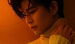 娱乐圈爆料出轨男明星,出轨男星身份曝光，真相令人咋舌