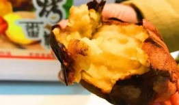 太原金虎最新爆料,揭秘神秘项目背后的惊人真相