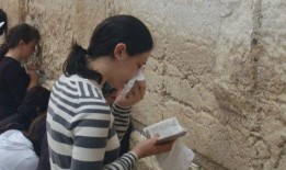 娱乐圈吃瓜鹅,揭秘明星背后的故事与真相