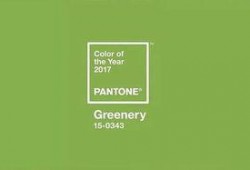 颜色2017在线观看,色彩斑斓的视觉盛宴