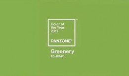 颜色2017在线观看,色彩斑斓的视觉盛宴