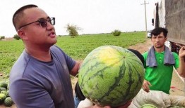 天天吃瓜全过程免费观看,揭秘“天天吃瓜”的精彩瞬间