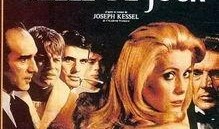 白昼美人在线观看,探寻光影交织下的绝美人生