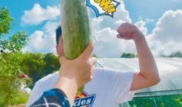 网红的吃瓜视频哪里能看,热门平台一览