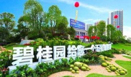 济南碧桂园爆料案件最新,揭秘豪宅纠纷背后的真相