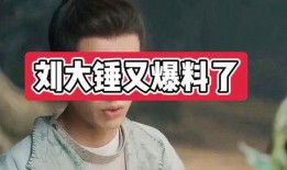 刘大锤爆料歌手视频播放,歌手神秘视频幕后真相曝光