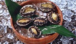 鲍鱼最新爆料图片大全,高清美图大赏