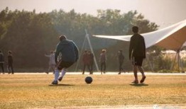 爆料大学生活视频大全,大学生活视频大全精彩瞬间回顾