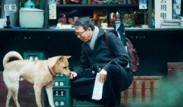 狗狗电影在线观看