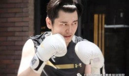 李晓峰爆料被追杀视频,揭秘网络暴力背后的黑暗面