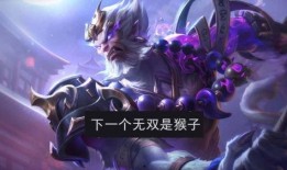 王者无双限定最新爆料,神秘英雄即将登场，全新技能引发热议！