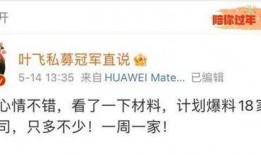 叶飞爆料最新,揭秘娱乐圈惊天黑幕
