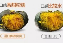 7w粉网红吃瓜,7万粉丝网红揭秘娱乐圈吃瓜大事件