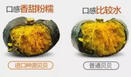 7w粉网红吃瓜,7万粉丝网红揭秘娱乐圈吃瓜大事件