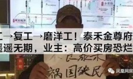 泰禾内部爆料事件始末最新消息,揭秘真相与后续发展