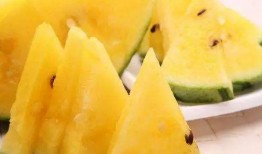 网红吃瓜黑料吃瓜别打样,揭秘网络舆论背后的真相与反思