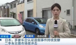 郑州某车企爆料新闻事件,揭秘行业内部惊人内幕