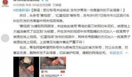 大王爆料青岛事件视频全集,大王爆料视频全集深度解析