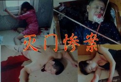 爆料灭门惨案视频大全最新,视频大全背后的真相与警示