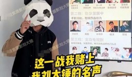 大瓜爆料大锤视频大全集,揭秘娱乐圈幕后真相