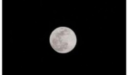 海丰月亮爆料视频下载,独家下载与幕后真相