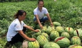 宜丰网红吃瓜事件视频曝光,视频曝光引发网络热议