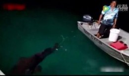 钓鱼爆料大全视频,揭秘钓鱼技巧与实战经验分享