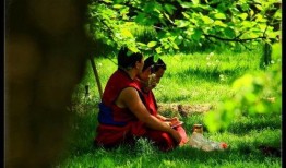 黄色复仇草在线观看,揭秘复仇之路的惊心动魄