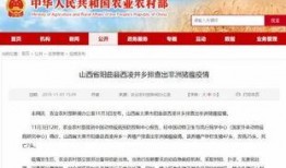 小雨爆料最新新闻,最新热点事件深度解析