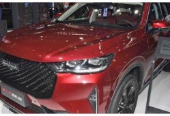 哈佛最新爆料消息视频,最新爆料视频深度解析