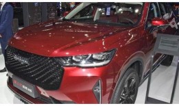 哈佛最新爆料消息视频,最新爆料视频深度解析