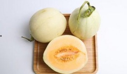 甜瓜美食爆料视频大全最新,揭秘最新爆料视频大全