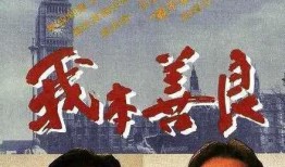 我本善良国语在线观看,温情演绎，在线重温人间真情