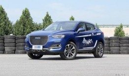 哈佛最新爆料消息视频,最新爆料视频深度解析