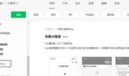 最新看点爆料小程序下载,揭秘小程序下载背后的秘密与趋势