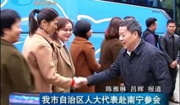 柳州大哥爆料新闻视频大全,新闻视频大全精彩回顾