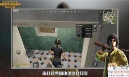 爆料视频玩法大全图片,图文攻略深度解析